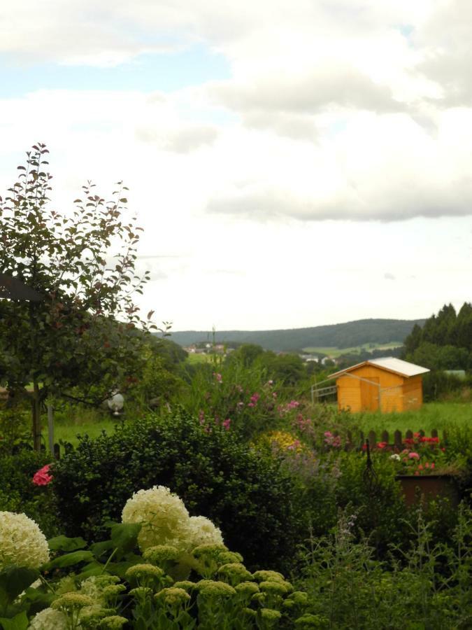 Villa Luzia Meuspath Exteriör bild